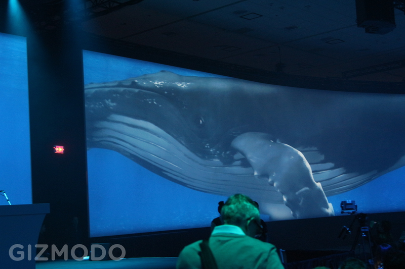 Illustration for article titled Our Google I/O Liveblog Is Right Here